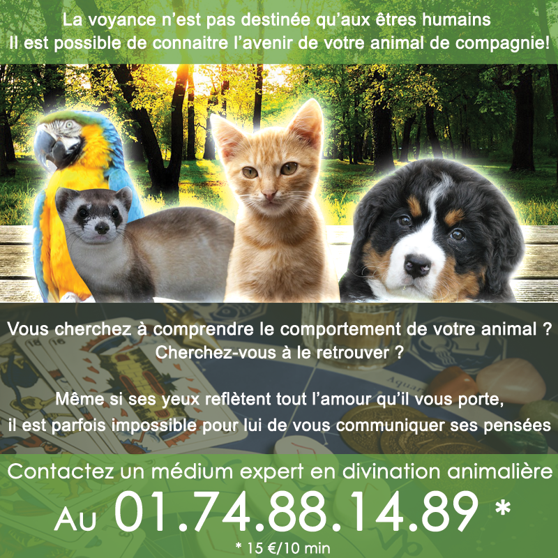 animaux-2